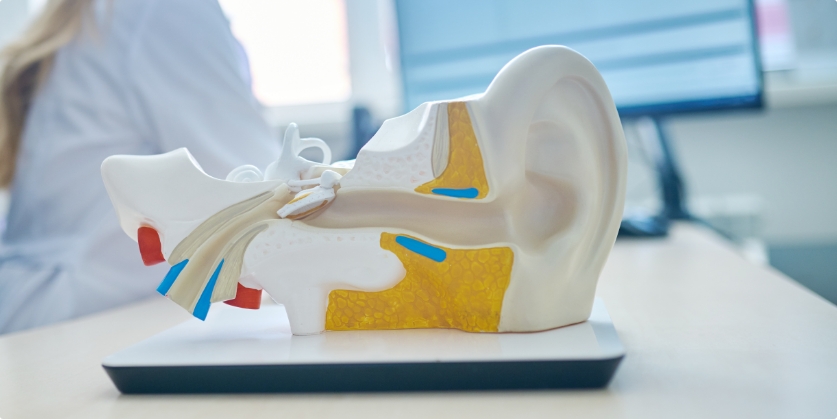 Raleigh Hearing and Tinnitus Center Blog